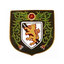 Didsbury CC Girls Under 15